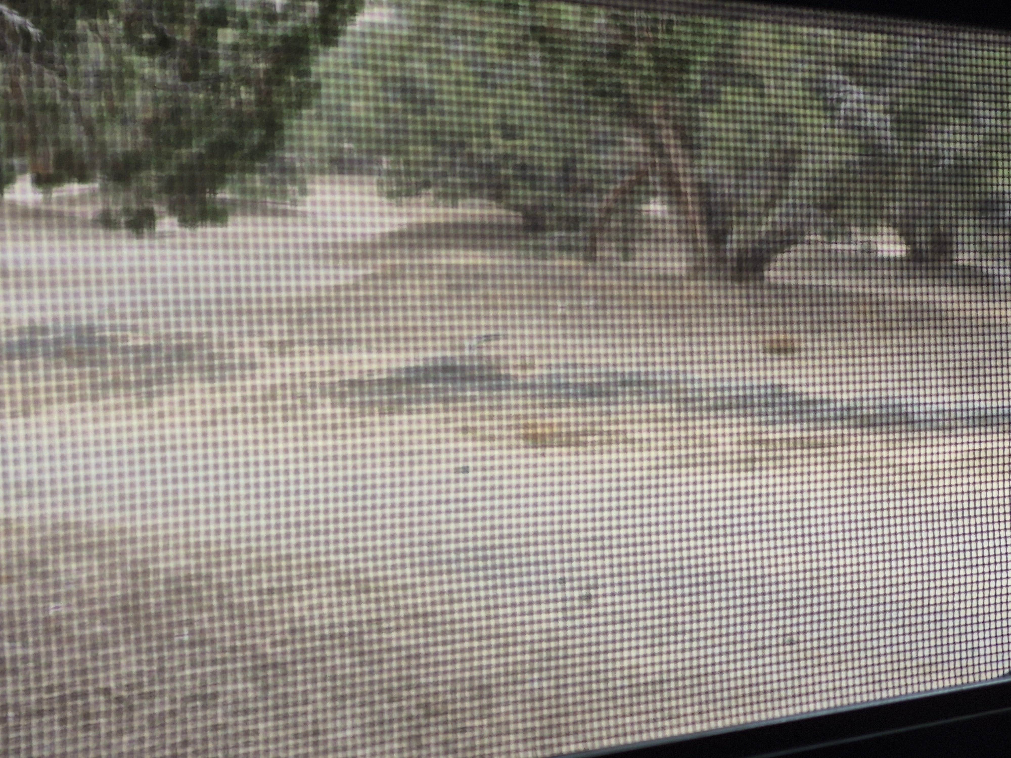 Camper-submitted photo at Oasis Campground - Little Sahara Rec Area near Lynndyl, UT