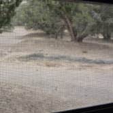 Review photo of Oasis Campground - Little Sahara Rec Area by Terrie L., April 1, 2026