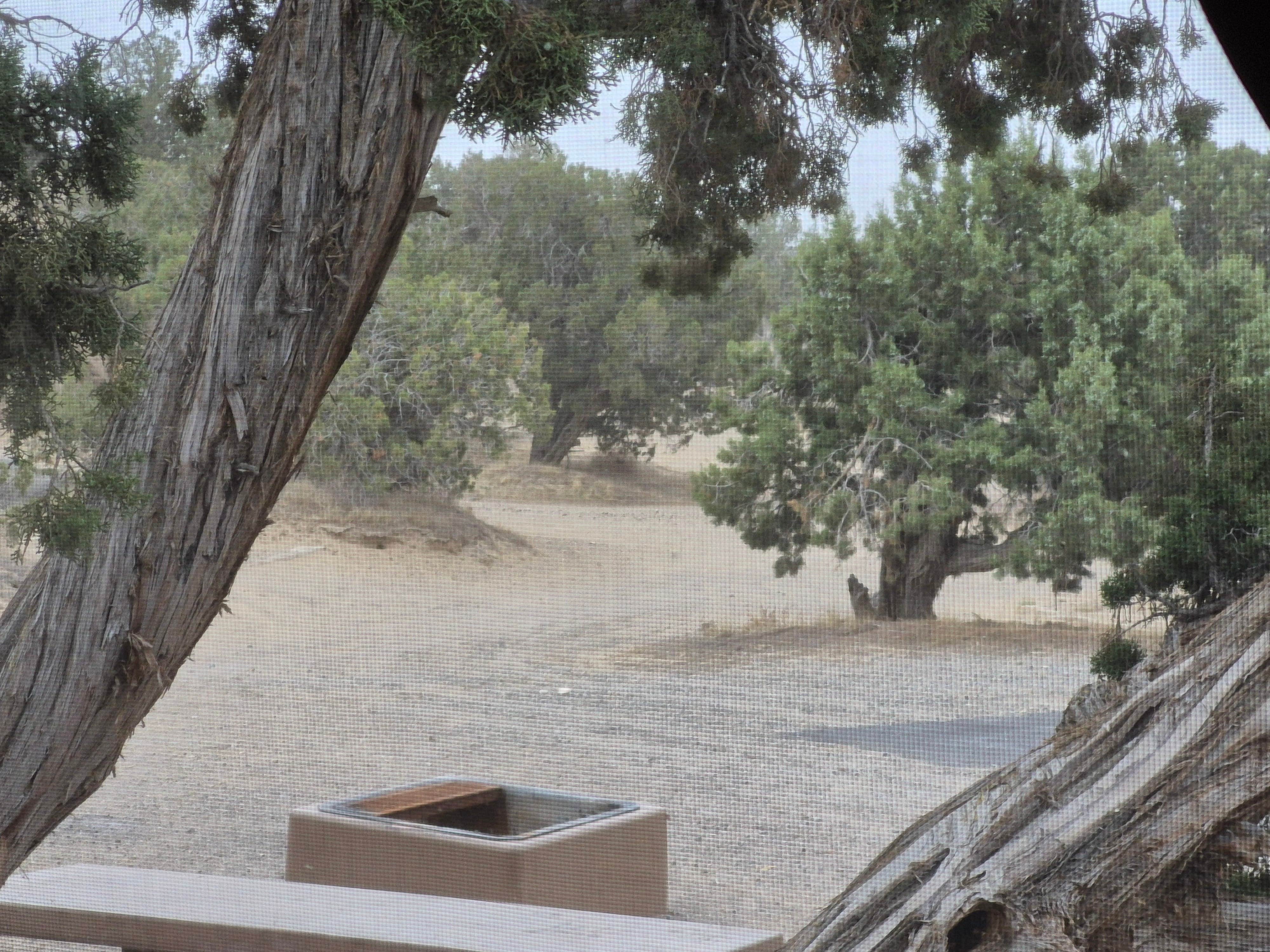 Oasis Campground - Little Sahara Rec Area