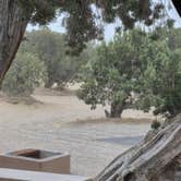 Review photo of Oasis Campground - Little Sahara Rec Area by Terrie L., April 1, 2026