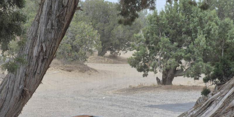 Camper submitted image from Oasis Campground - Little Sahara Rec Area