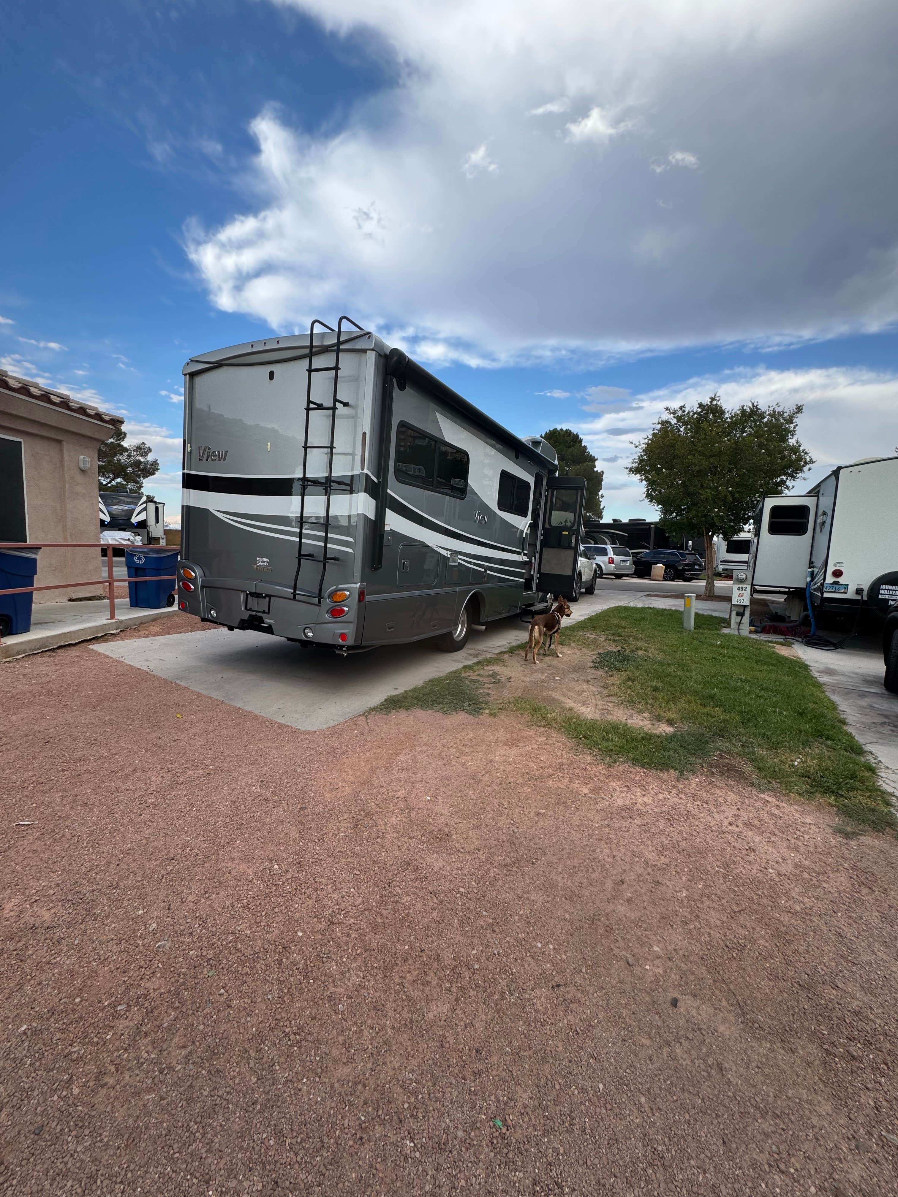 Mayu's photo of camping with pets at Oasis Las Vegas RV Resort in Nevada