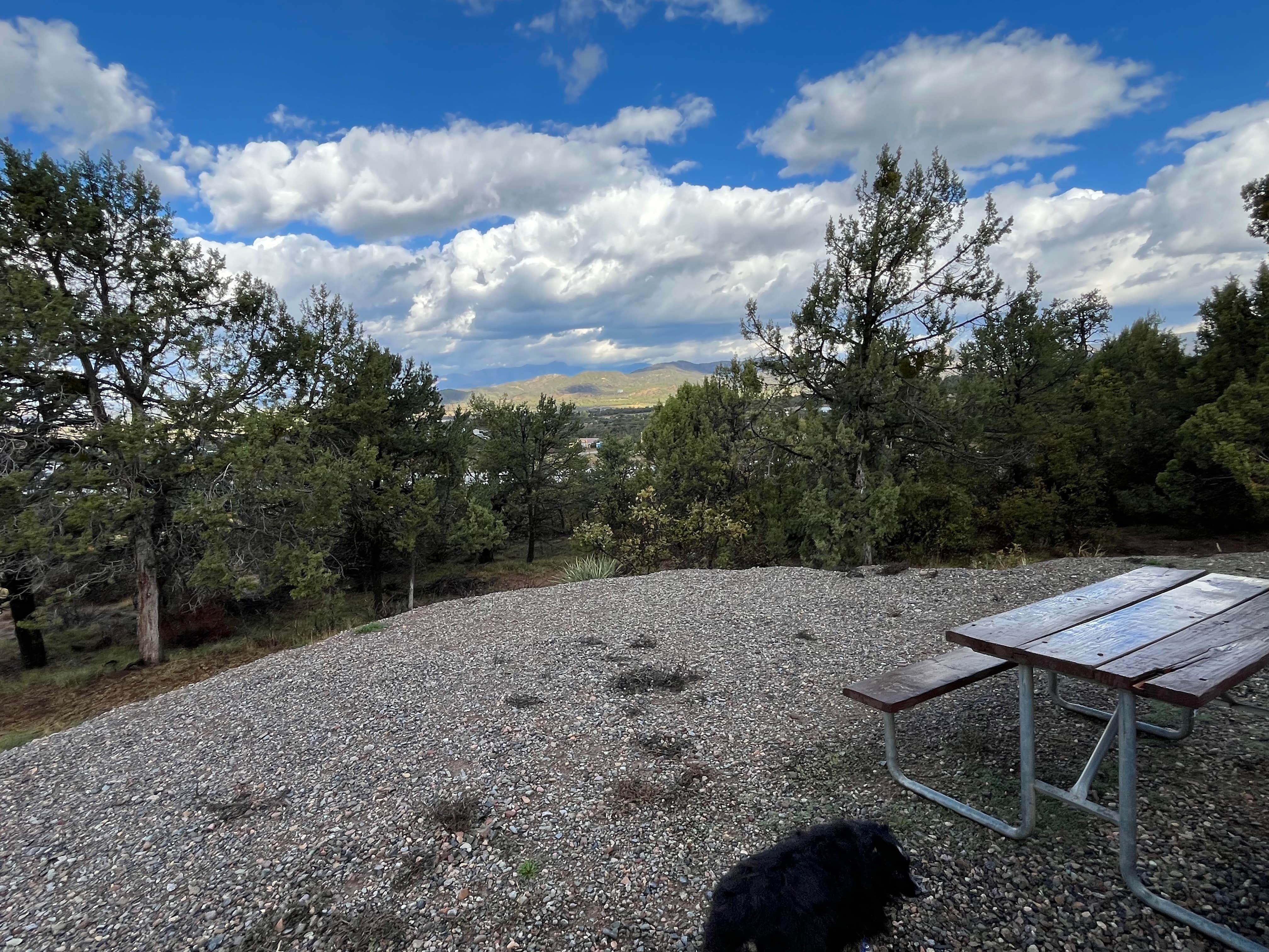 Andrew N.'s photo of camping with pets at Durango RV Resort near Aztec, NM