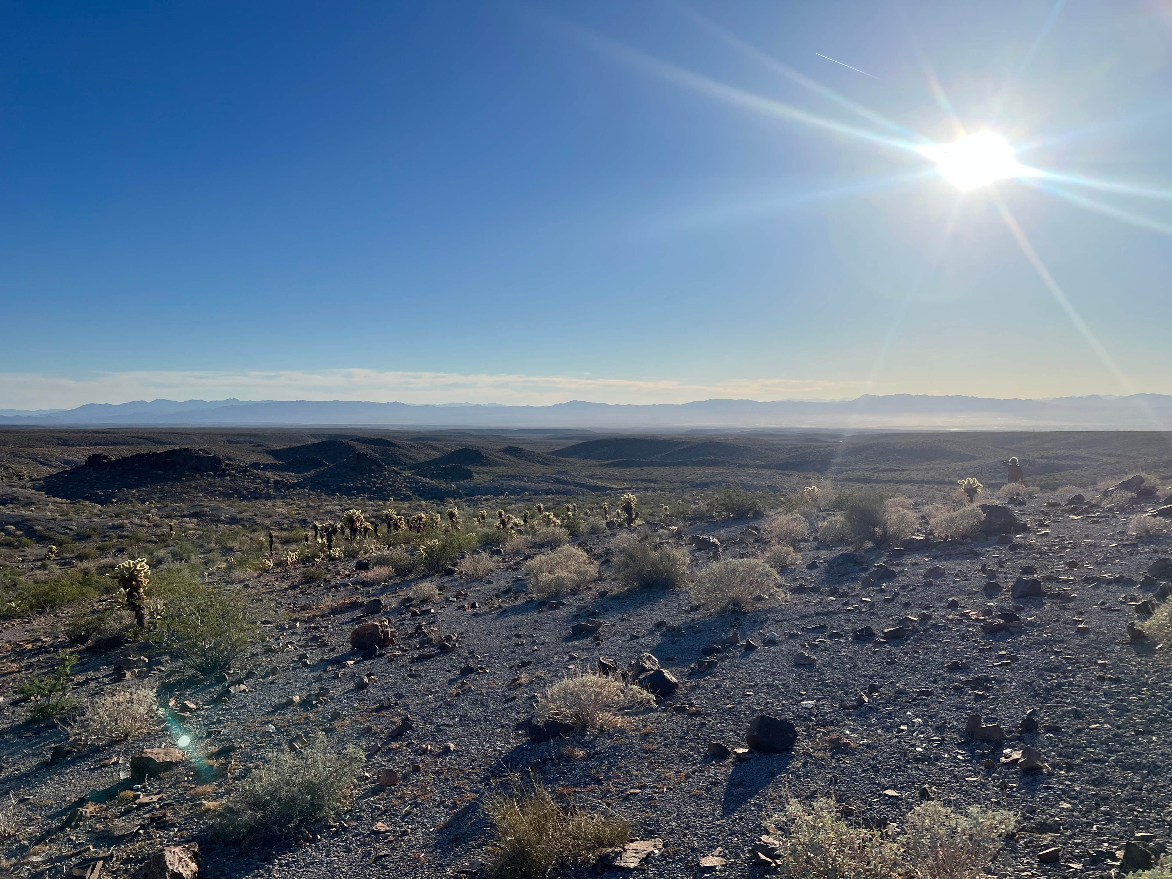 Christine B.'s photo of a dispersed camping area at Oatman Dispersed - BLM near Kingman, AZ