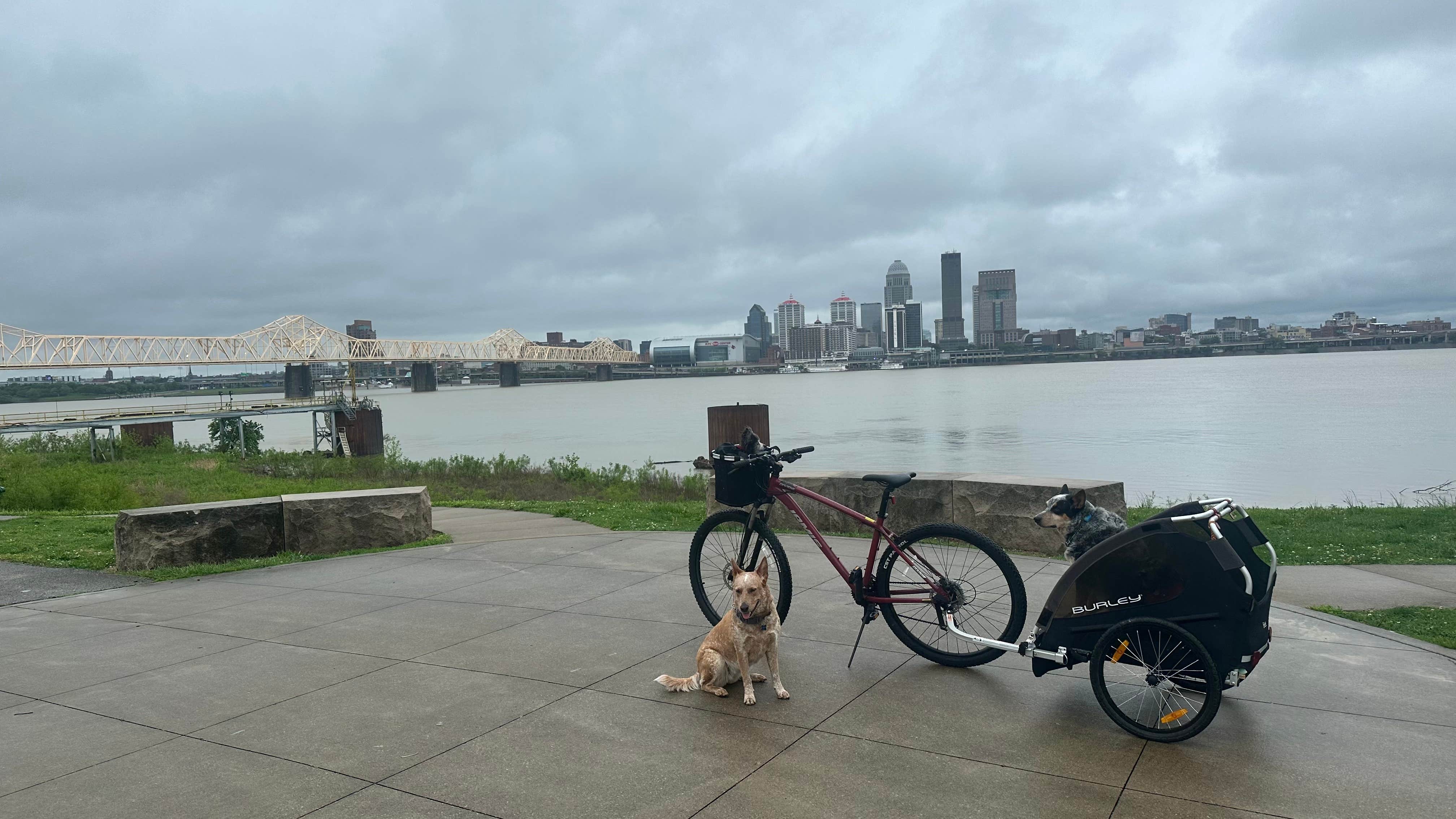 Shelly S.'s photo of camping with pets at O'Bannon Woods State Park Campground near Cannelton, IN