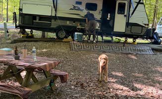 Randi R.'s photo at O'Bannon Woods State Park Campground near Corydon, IN
