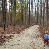 Review photo of O'Bannon Woods State Park Campground by Kelsey R., November 3, 2024