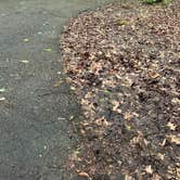 Review photo of O'Bannon Woods State Park Campground by Shelly S., May 3, 2025