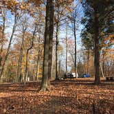 Review photo of O'Bannon Woods State Park Campground by Kelsey R., November 3, 2024