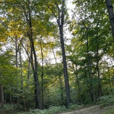 Review photo of O'Bannon Woods State Park Campground by Olivia M., September 11, 2023