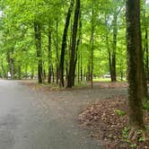 Review photo of O'Bannon Woods State Park Campground by Shelly S., May 3, 2025