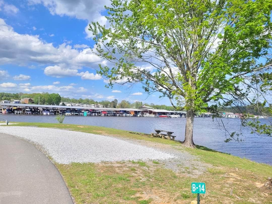 Camper-submitted photo at Observation Knob Park near Bristol, TN