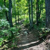 Review photo of Observation Knob Park by Eleanor the Airstream R., September 9, 2024