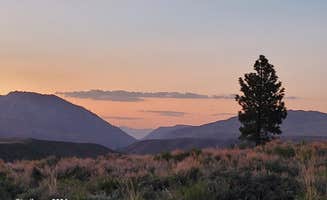 Trl G.'s photo of a dispersed camping area at Obsidian Creek on Little Walker Road near Mather, CA