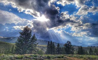 Trl G.'s photo of a dispersed camping area at Obsidian Creek on Little Walker Road near Markleeville, CA