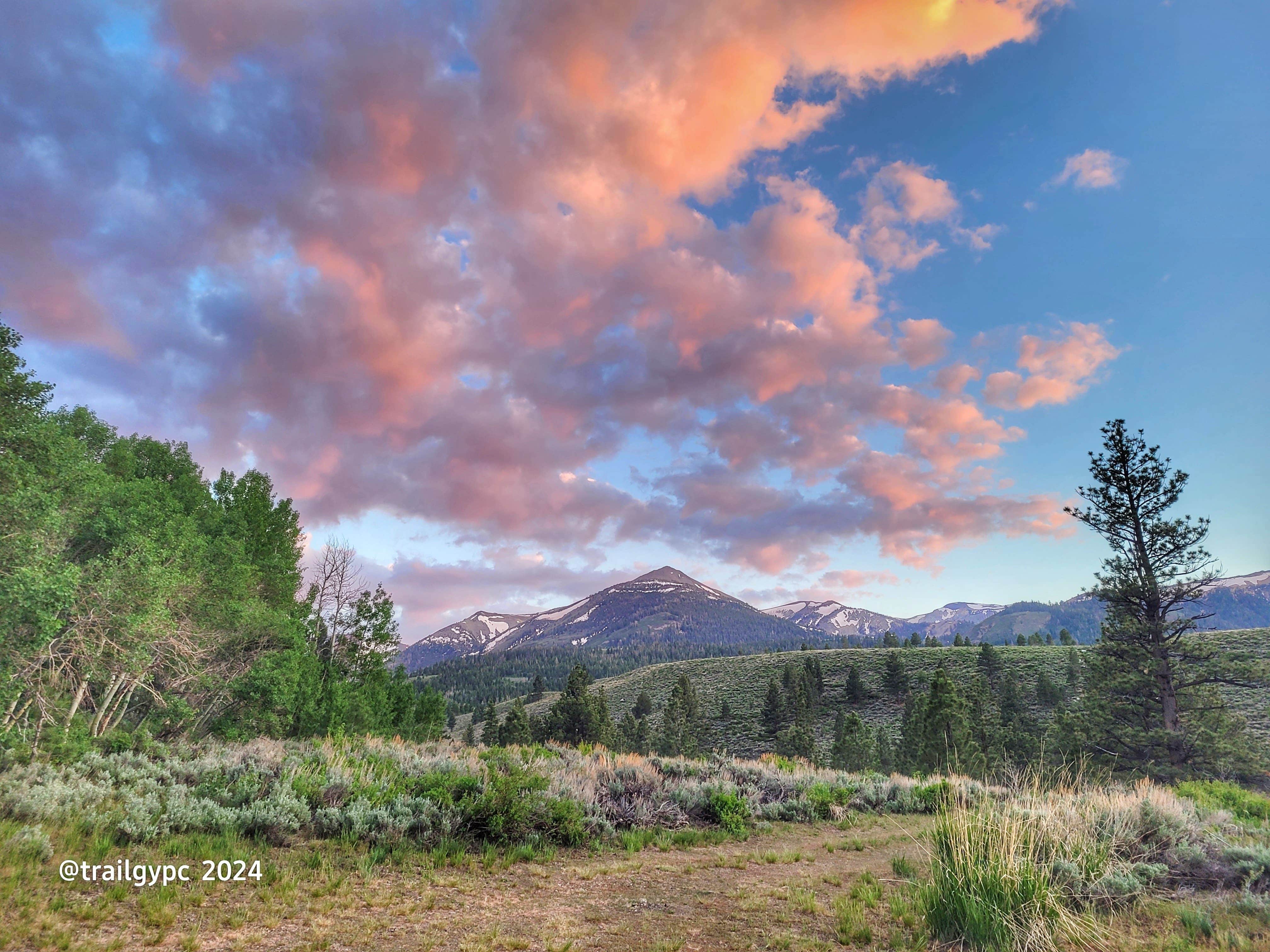Trl G.'s photo of a dispersed camping area at Obsidian Creek on Little Walker Road near Bear Valley, CA