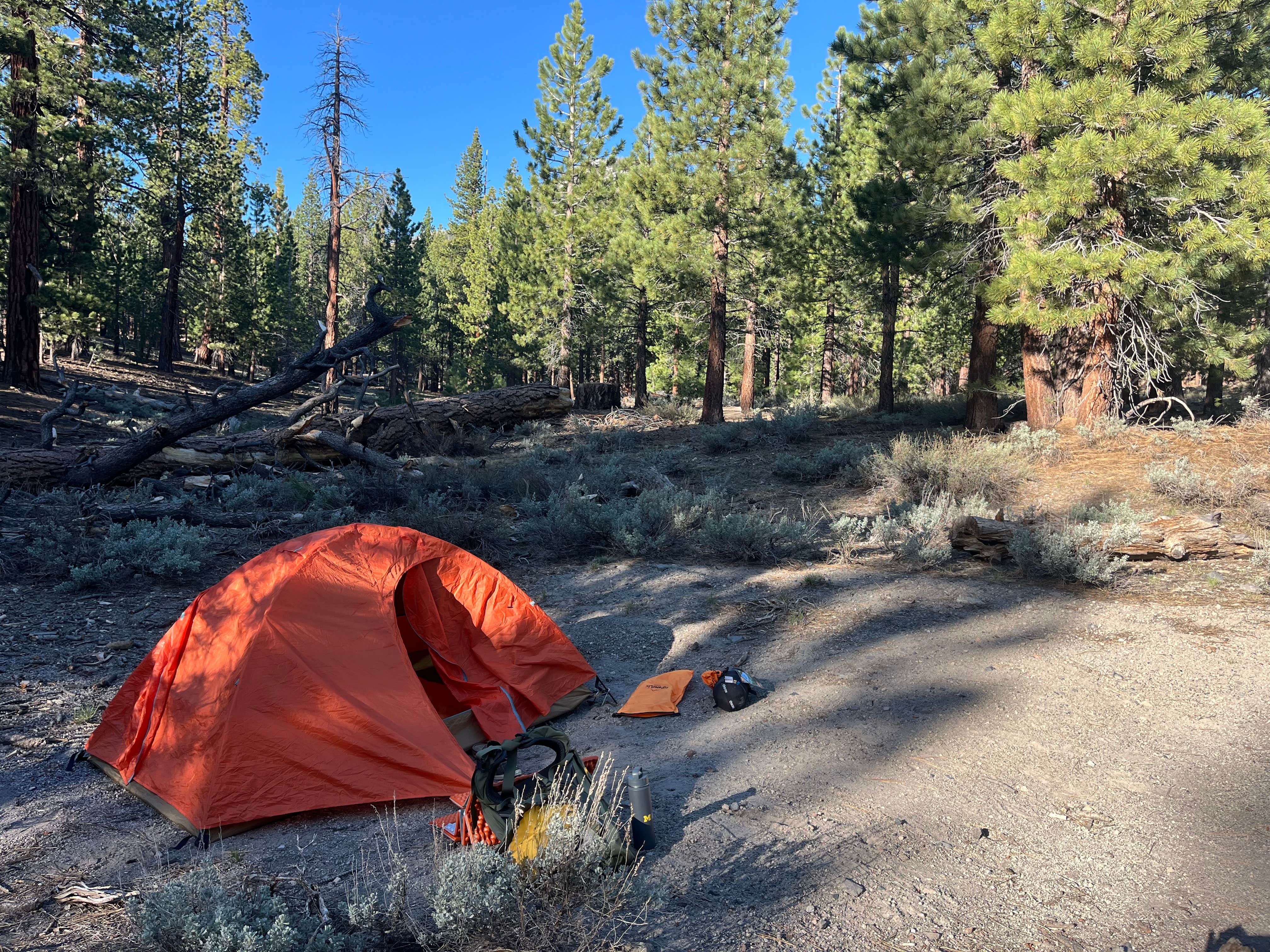 Camping near Dewey Point Backcountry Site — Yosemite National Park: Obsidian Meadows Dispersed, June Lake, California