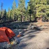 Review photo of Obsidian Meadows Dispersed by Michael C., May 16, 2026