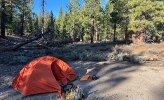 Michael C.'s photo of tent camping at Obsidian Meadows Dispersed near Bridgeport, CA