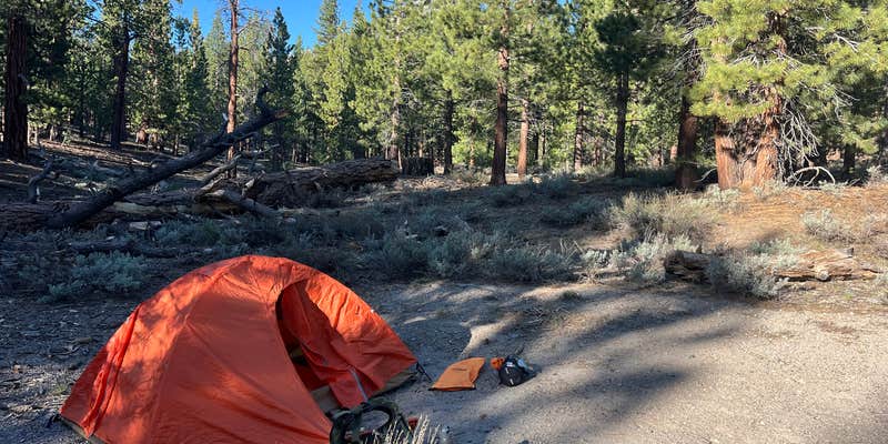 Camper submitted image from Obsidian Meadows Dispersed