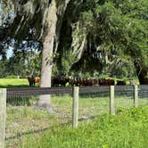 Review photo of Ocala North RV Park by Name , September 13, 2024