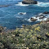 Review photo of ocean cove campground by Kathryn , July 11, 2025