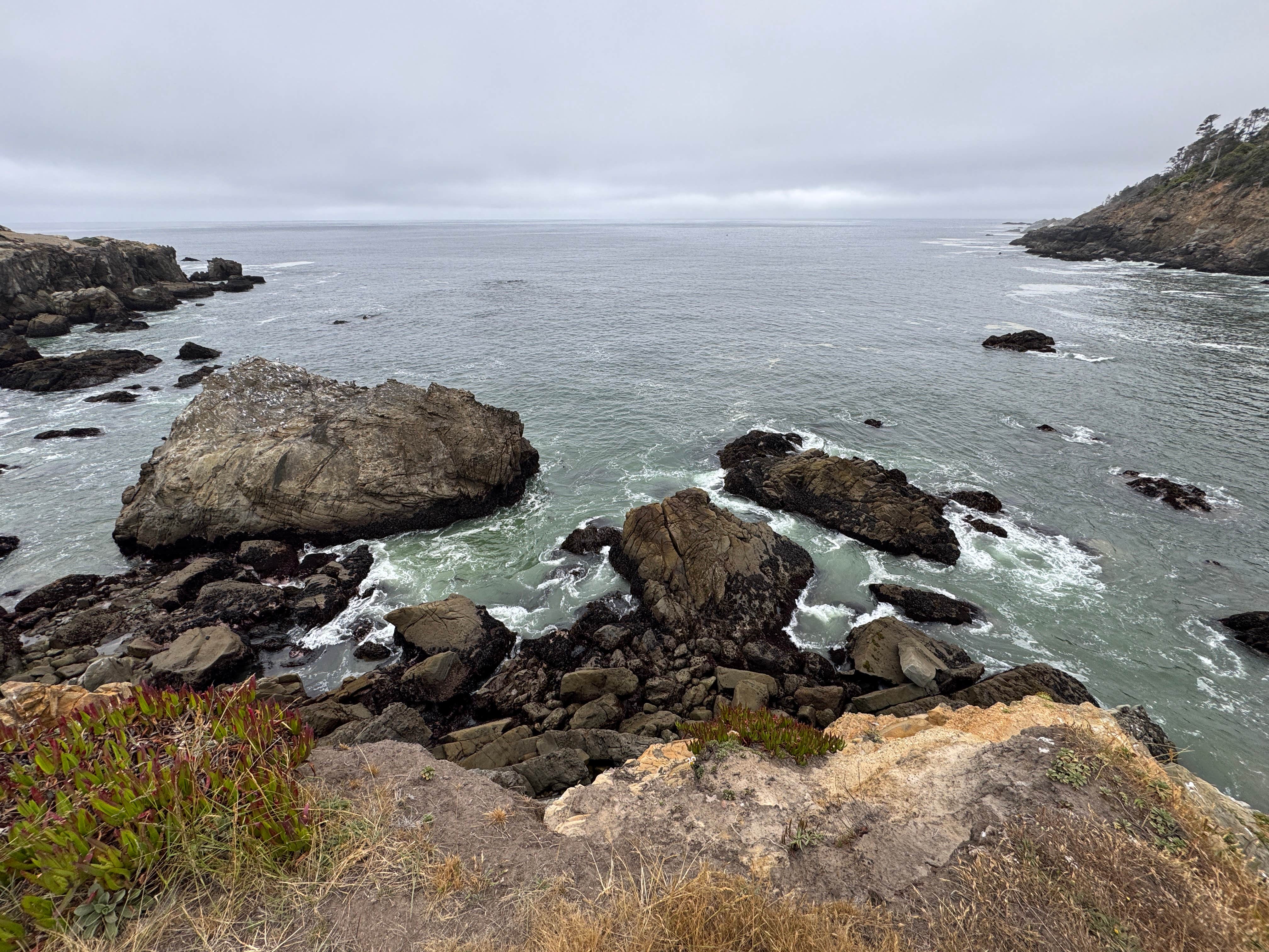 Camper-submitted photo at ocean cove campground near Boonville, CA