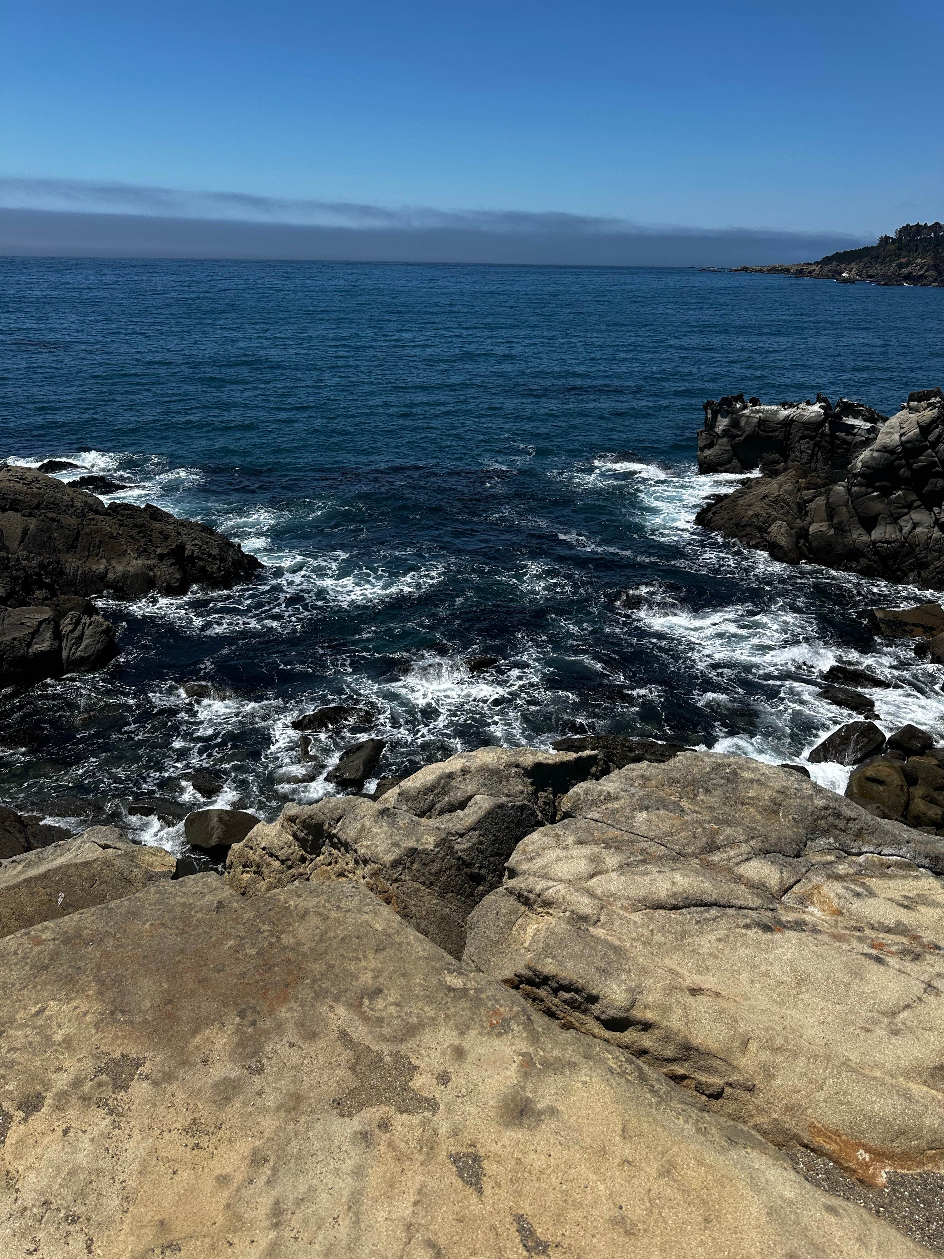 Camper-submitted photo at ocean cove campground near Sea Ranch, CA