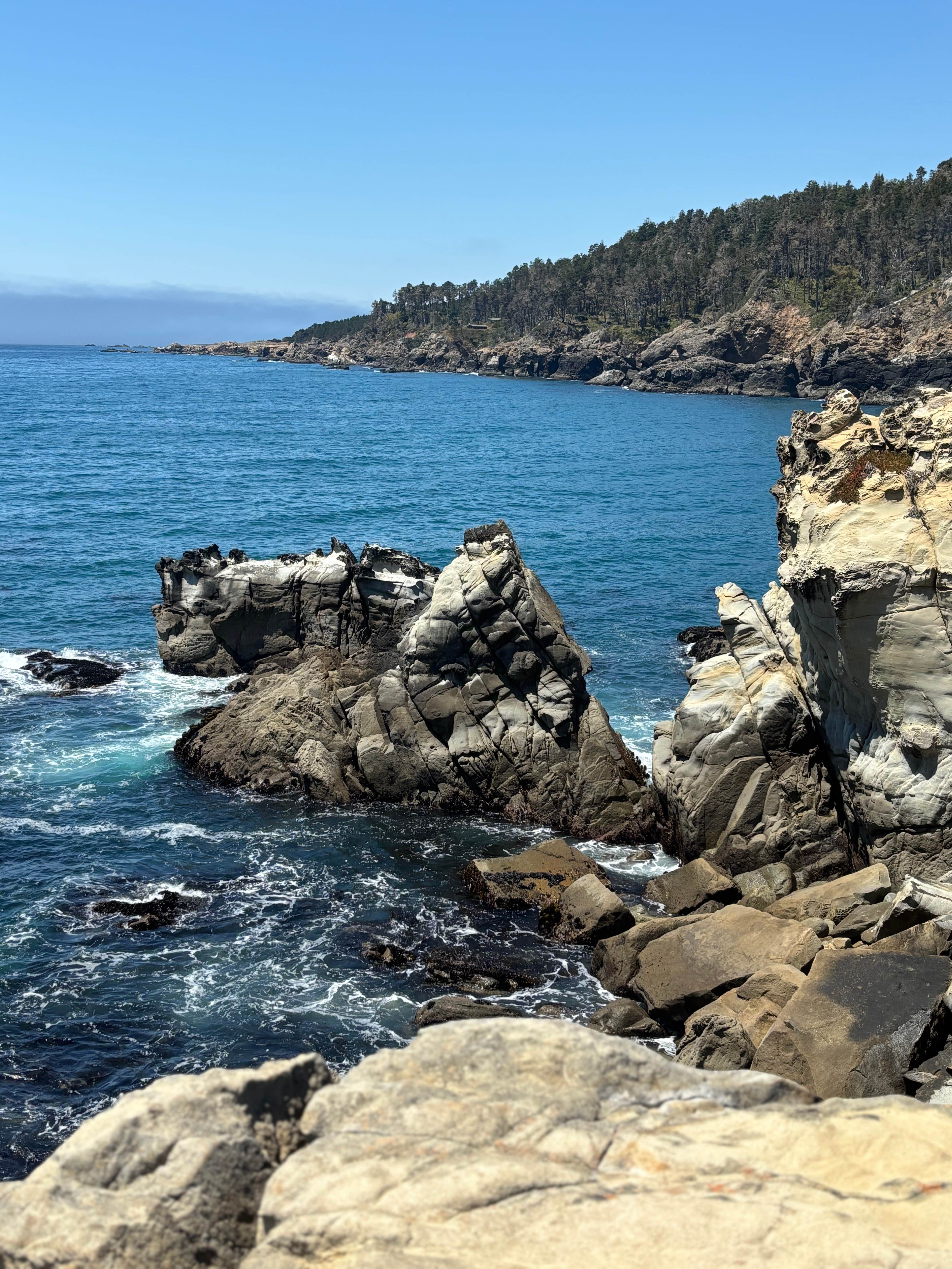 Camper submitted image from ocean cove campground - 1