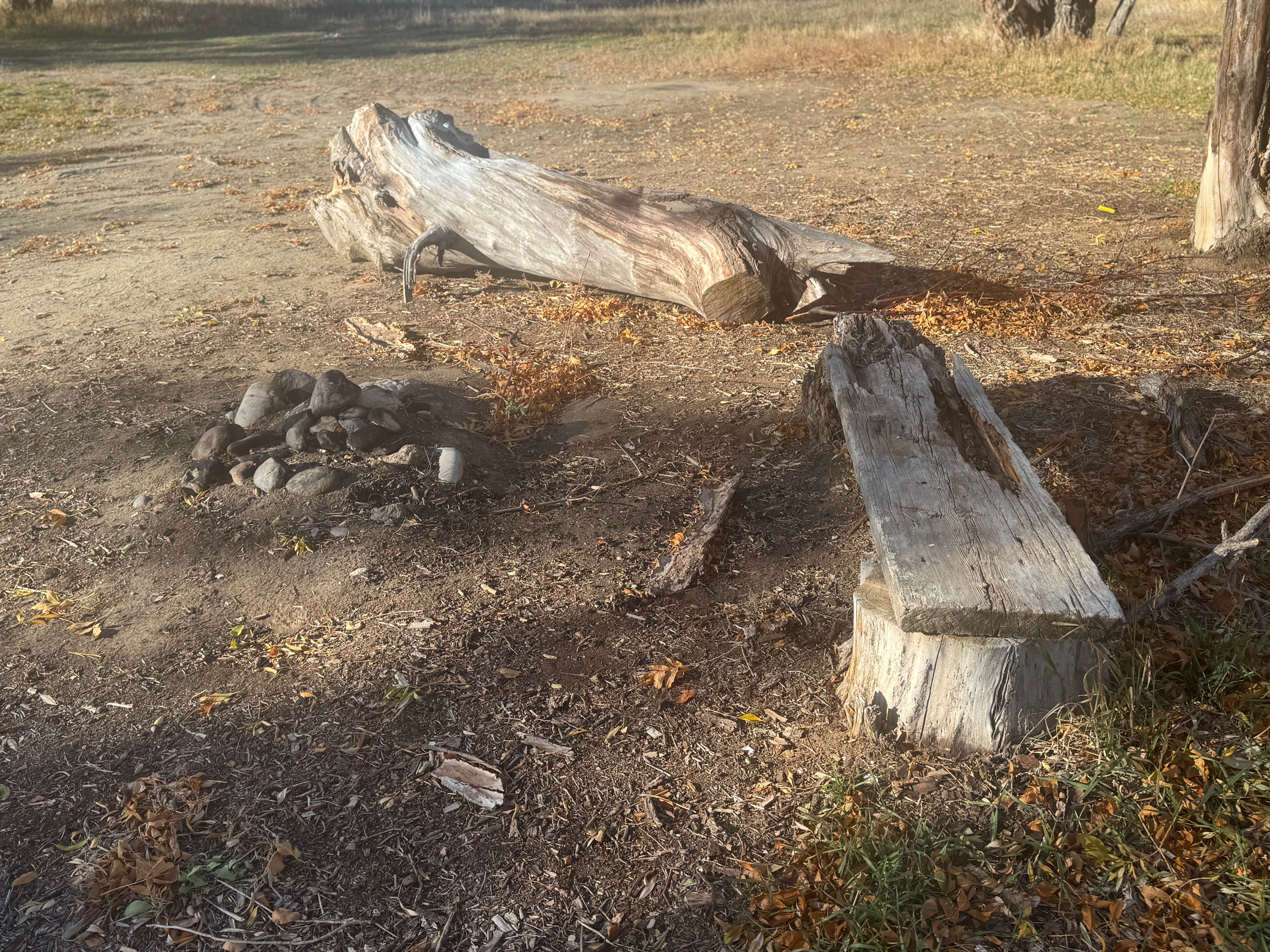 Camper submitted image from Ocean Lake Lindholm - 1