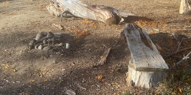 Camper submitted image from Ocean Lake Lindholm