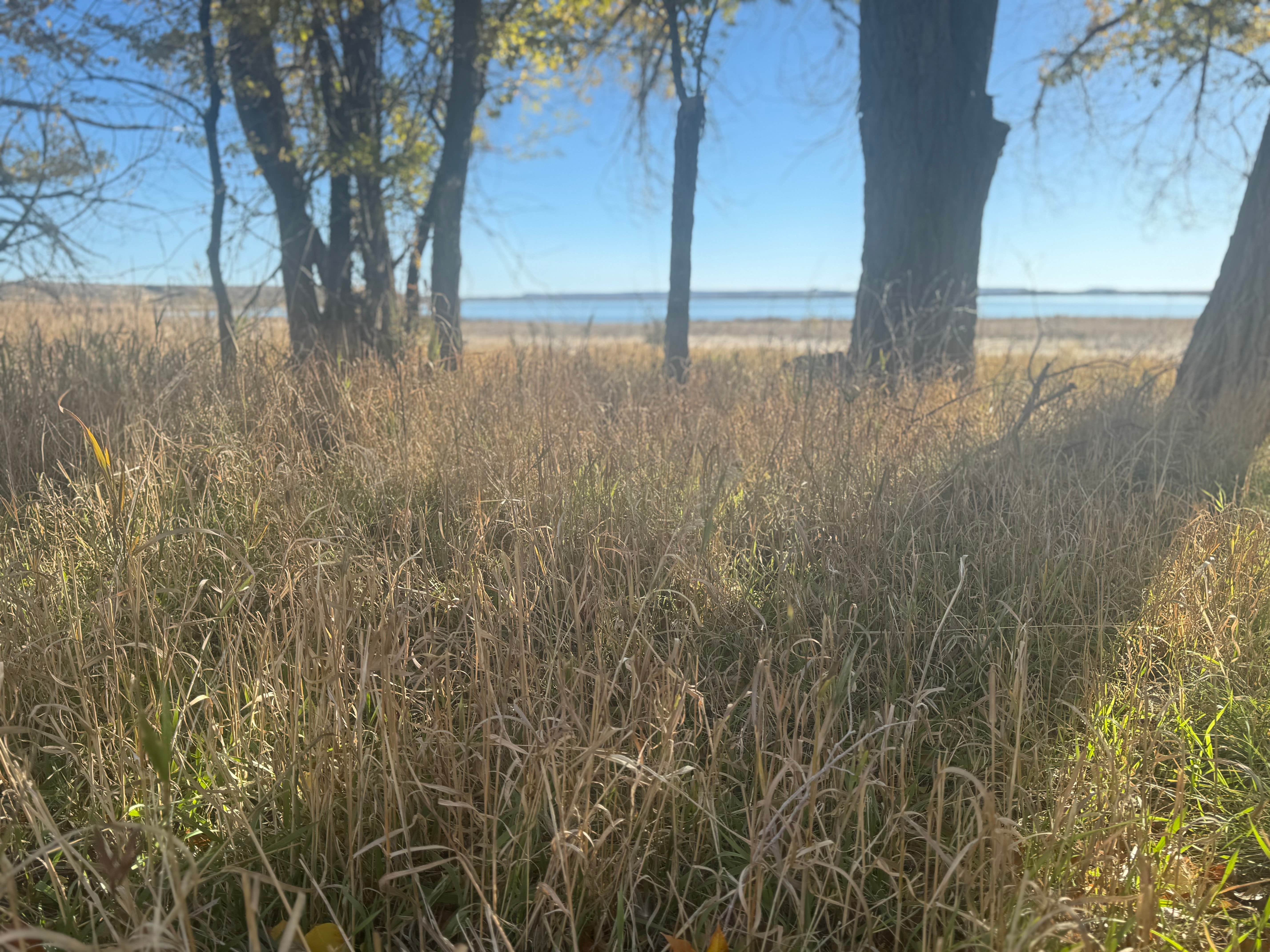 Camper-submitted photo at Ocean Lake Lindholm near Riverton, WY