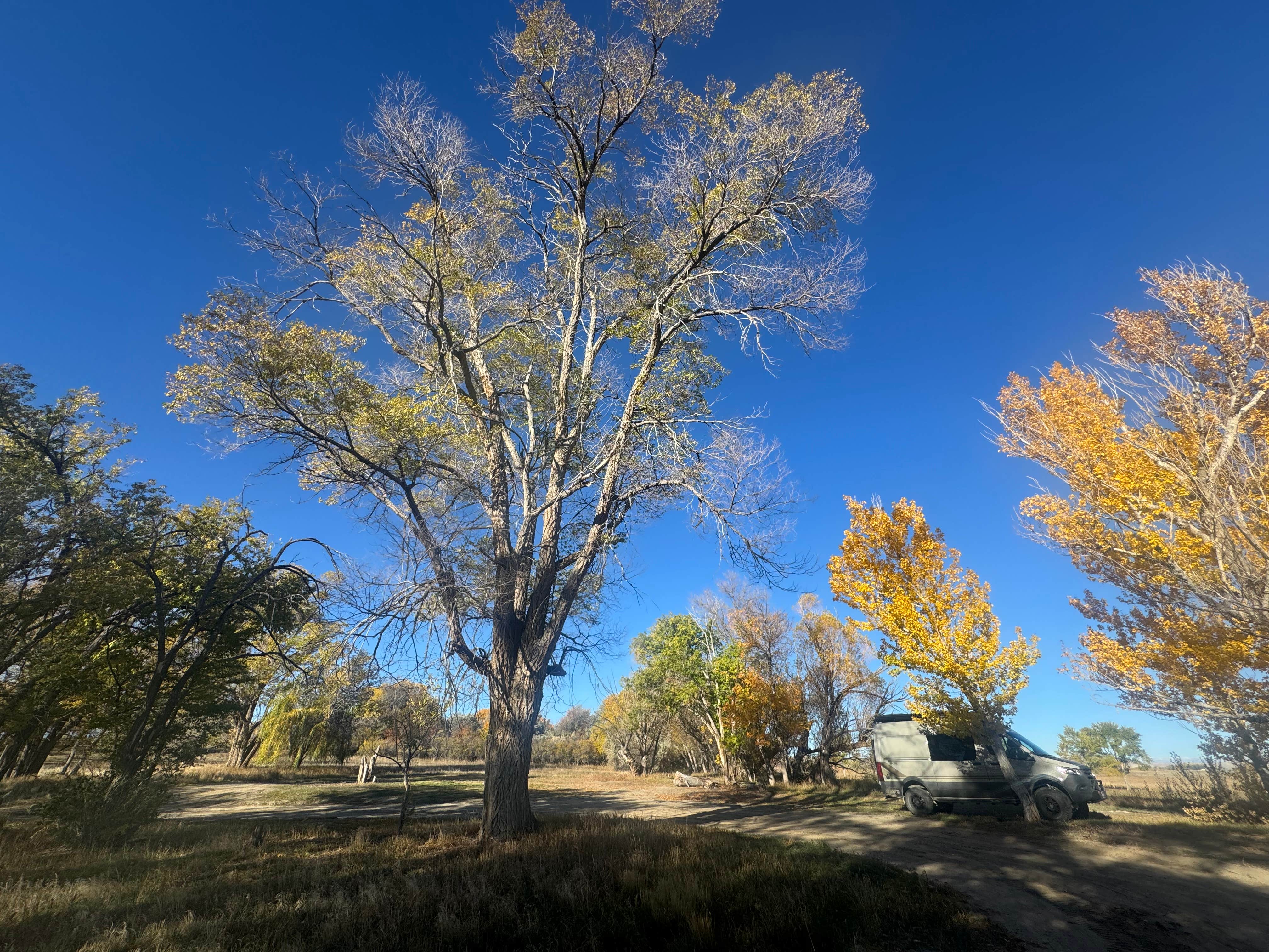 Camper-submitted photo at Ocean Lake Lindholm near Riverton, WY