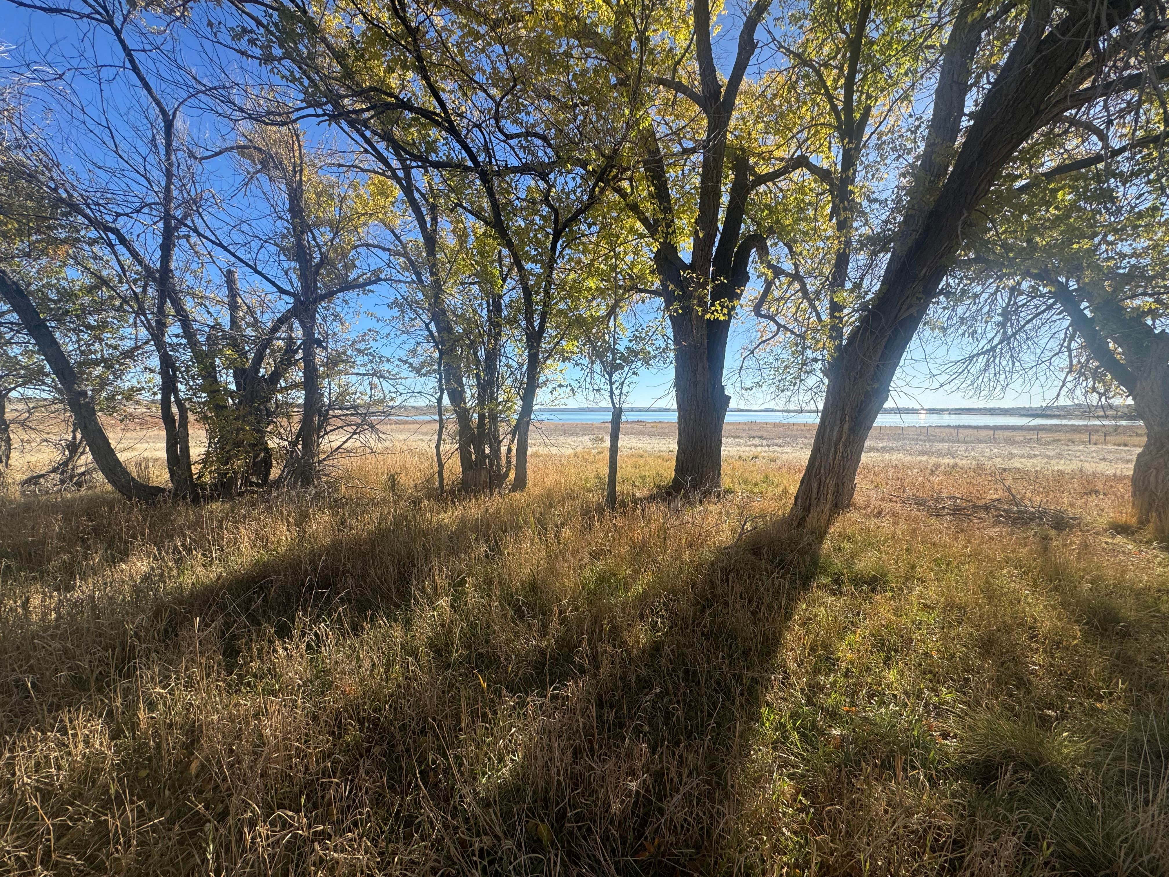 Dave B.'s photo of a dispersed camping area at Ocean Lake Lindholm near Riverton, WY