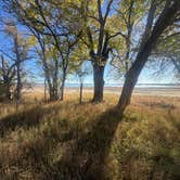 Review photo of Ocean Lake Lindholm by Dave B., October 22, 2025