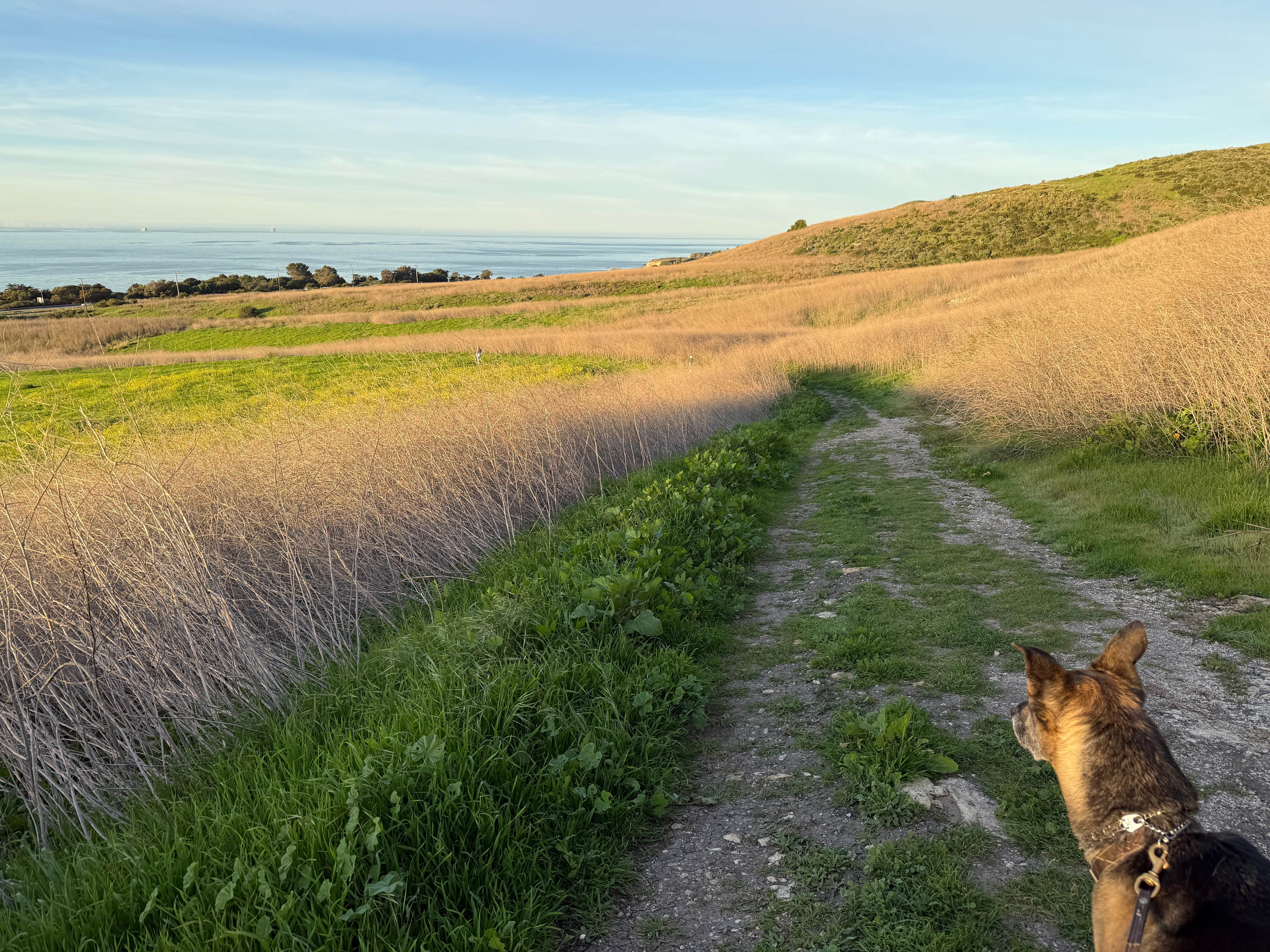 Kim G.'s photo of camping with pets at Sun Outdoors Santa Barbara near Santa Barbara, CA