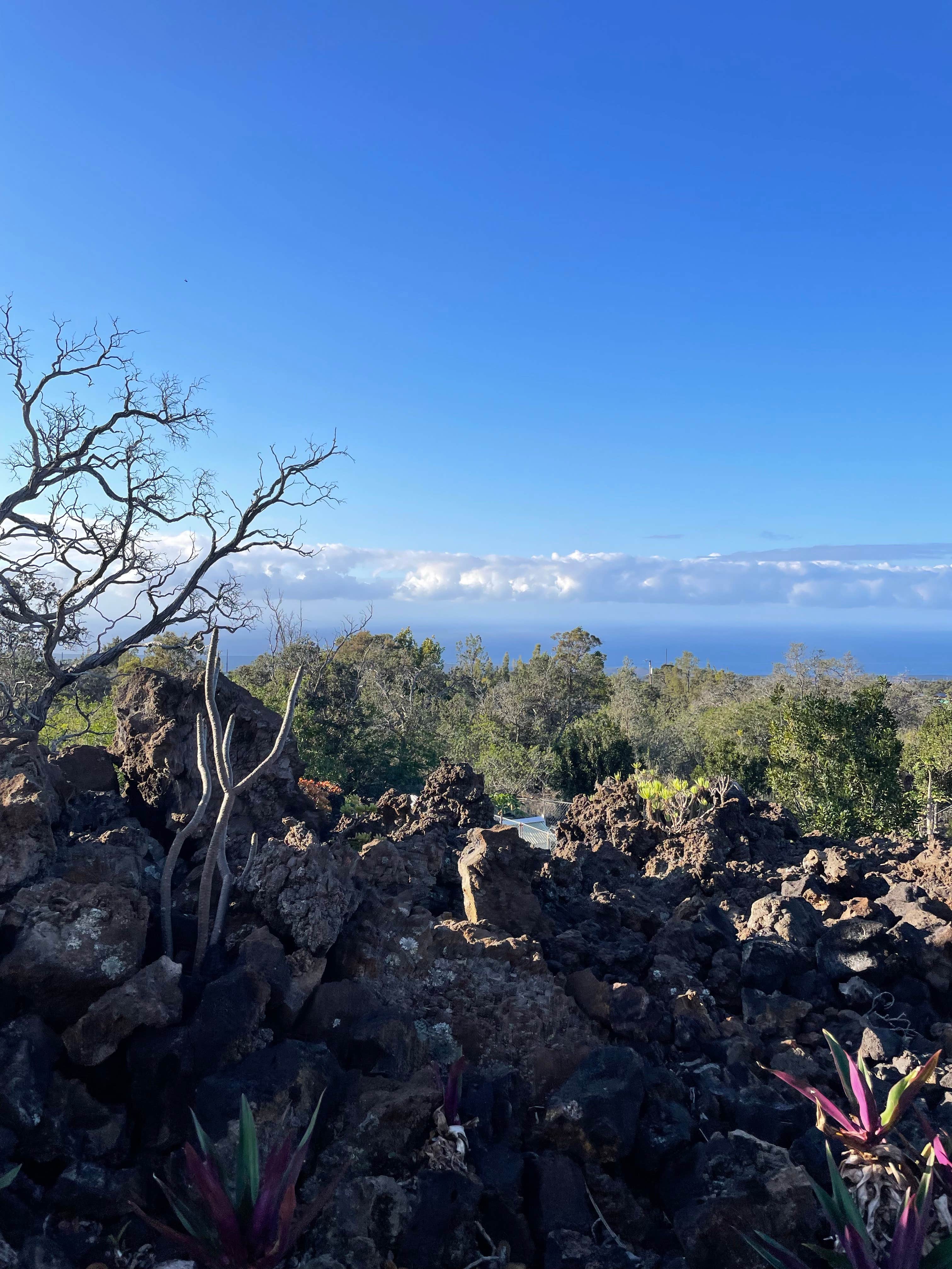 Camping near Punalu`u Beach Park: Ocean View Yurts, Kailua, Hawaii