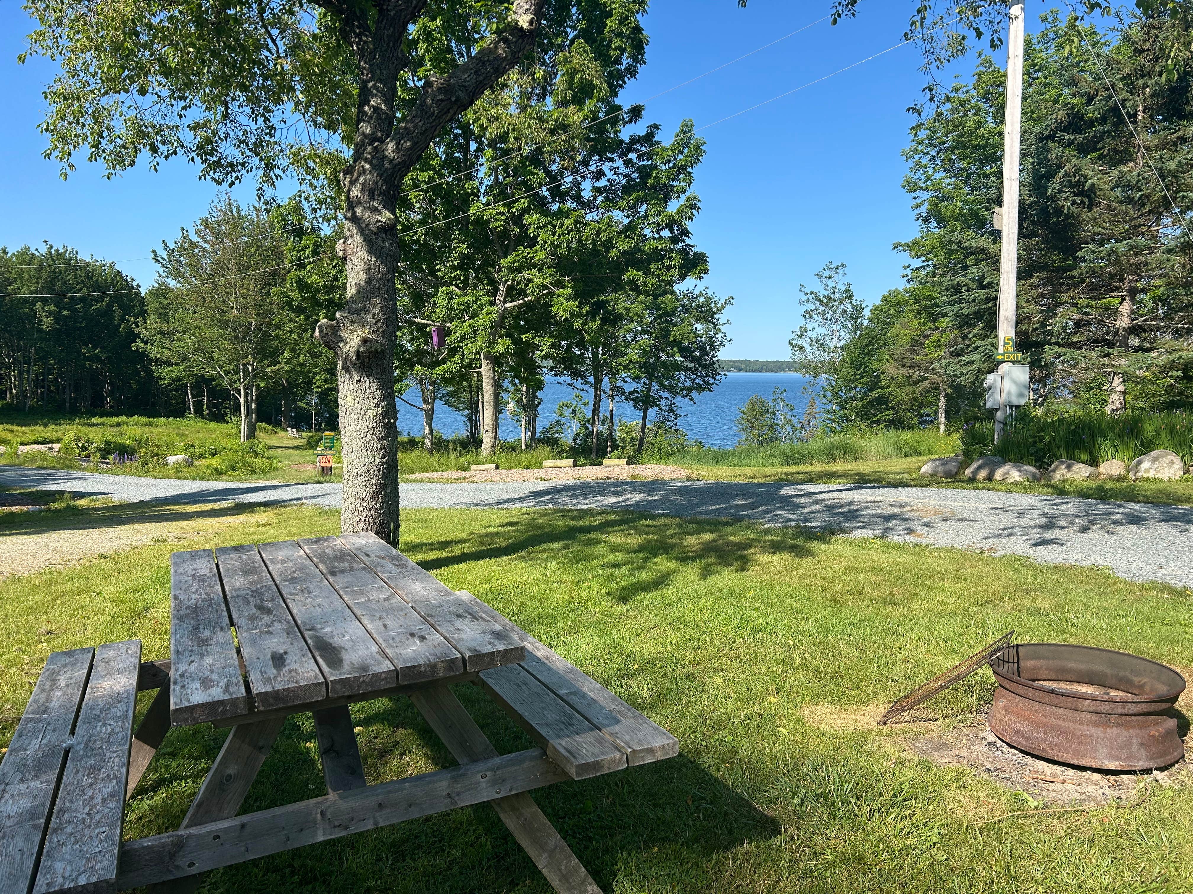 Camper-submitted photo at Oceanfront Camping @ Reach Knolls near Blue Hill, ME