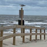 Review photo of Assateague Island National Seashore Oceanside Campground by Dyan F., September 29, 2023