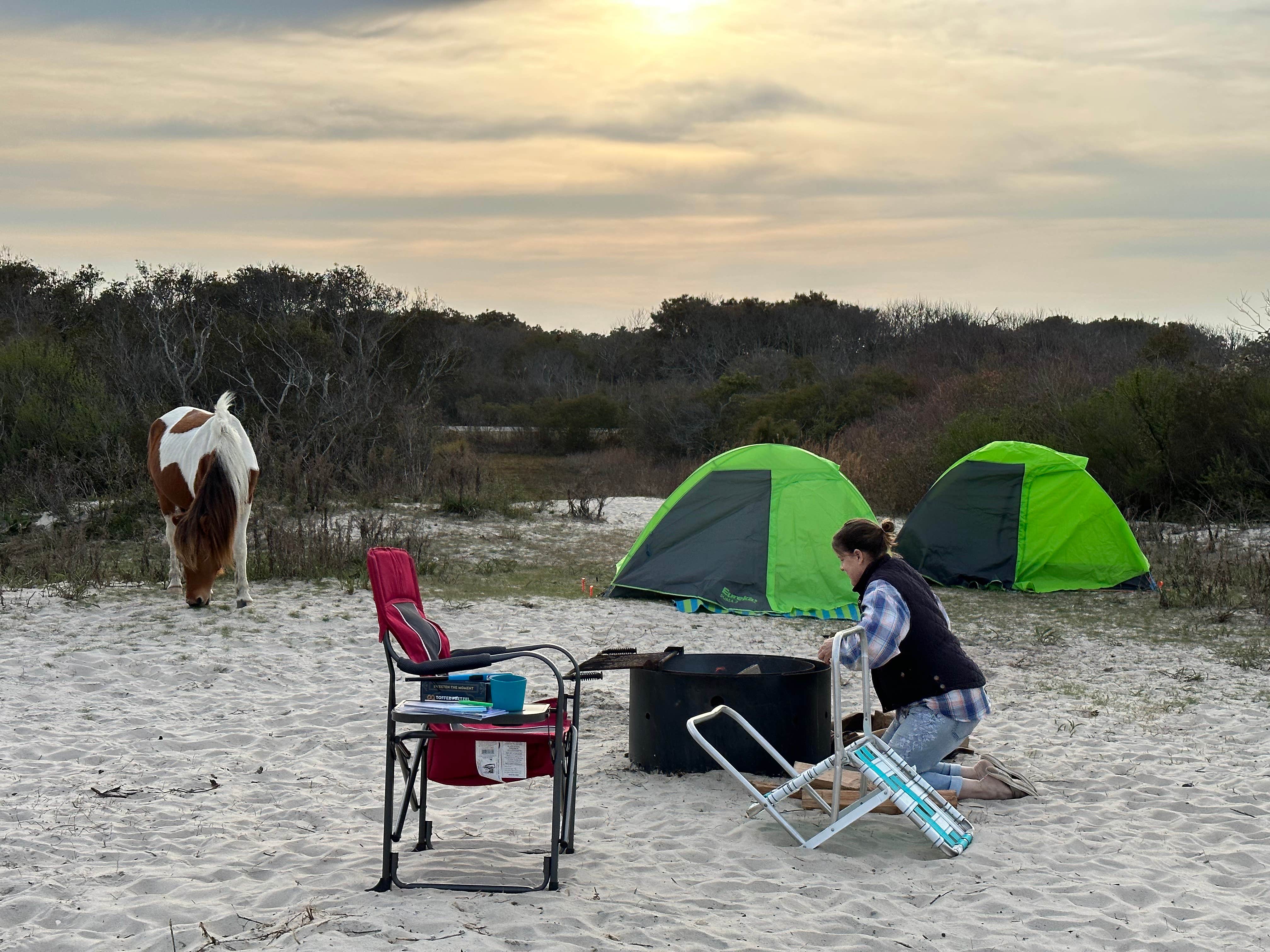 Emily C.'s photo at Assateague Island National Seashore Oceanside Campground near Assateague Island National Seashore