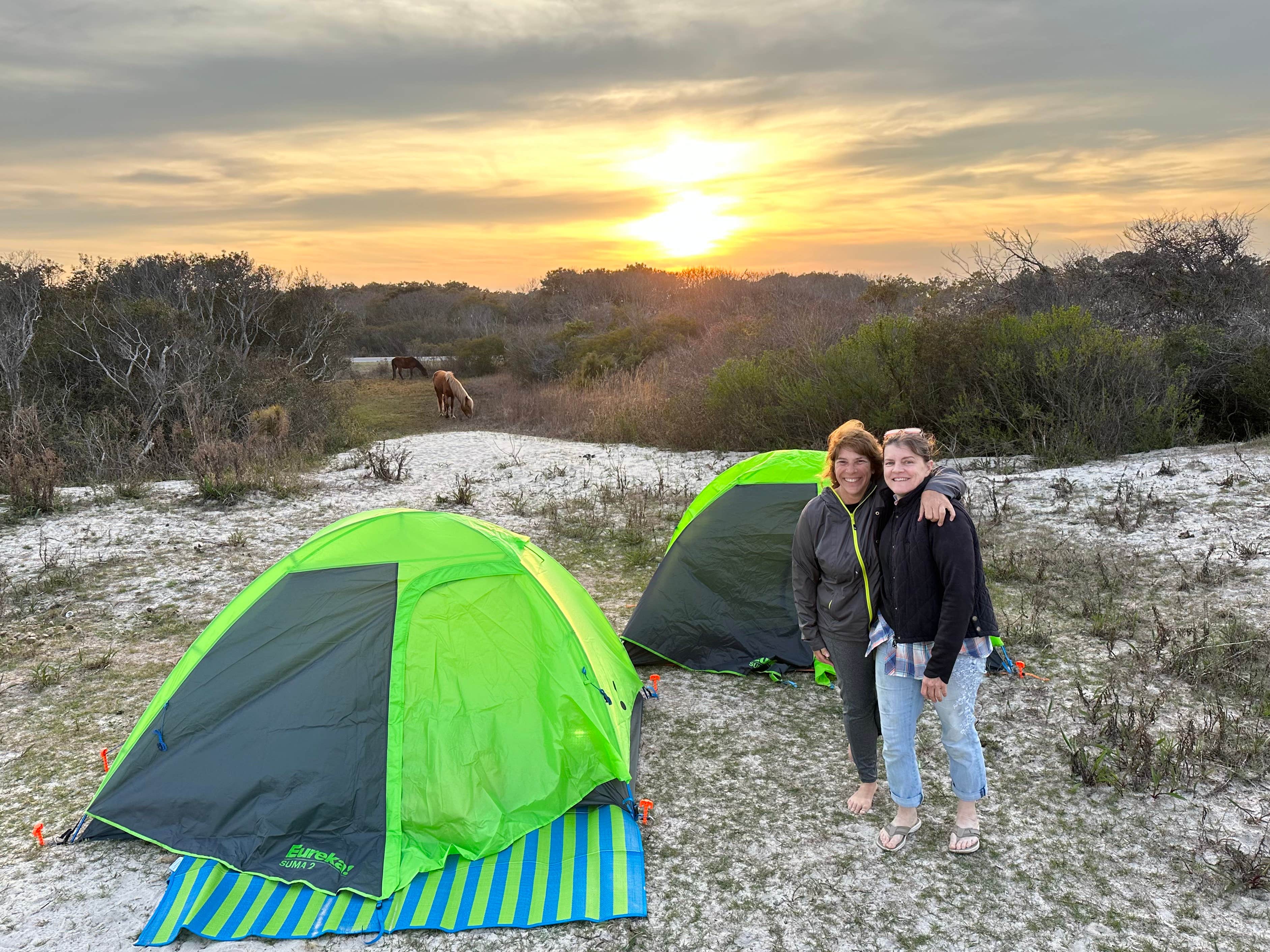Emily C.'s photo at Assateague Island National Seashore Oceanside Campground near Girdletree, MD