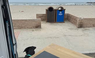 Zach S.'s photo of camping with pets at Oceanside Harbor - Beach Parking 11B near Oceanside, CA