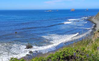 Linda L.'s photo of camping with pets at Oceanside RV Park near Brookings, OR