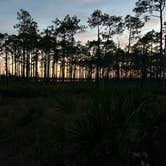 Review photo of Ochlockonee River State Park Campground by Donna G., February 11, 2024