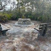 Review photo of Ochlockonee River State Park Campground by Donna G., February 11, 2024