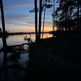 Review photo of Ochlockonee River State Park Campground by Donna G., February 11, 2024