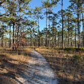 Review photo of Ochlockonee River State Park Campground by Kathy L., February 20, 2025