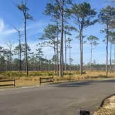 Review photo of Ochlockonee River State Park Campground by Jon K., March 8, 2026