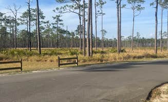 Jon K.'s photo of camping with pets at Ochlockonee River State Park Campground near Midway, FL