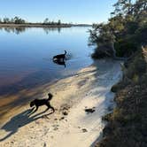 Review photo of Ochlockonee River State Park Campground by Kathy L., February 20, 2025